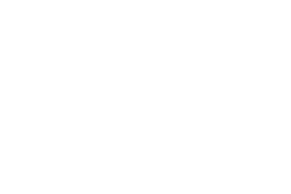 cargopirate.com
