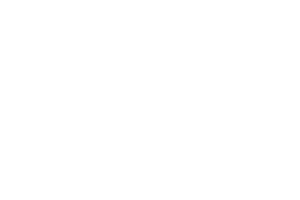 cargopirate.com