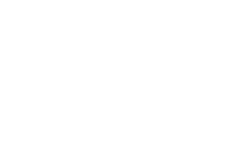 cargopirate.com